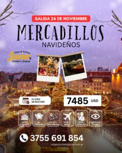 MERCADILLOS NAVIDEÑOS